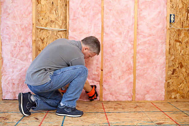 Best Blown-In Insulation  in Asheboro, NC